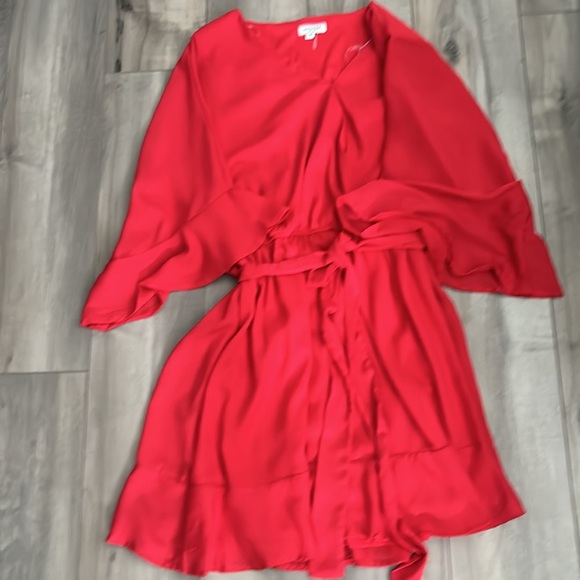 Andrée Belted Red Cocktail Dress - Picture 5 of 5